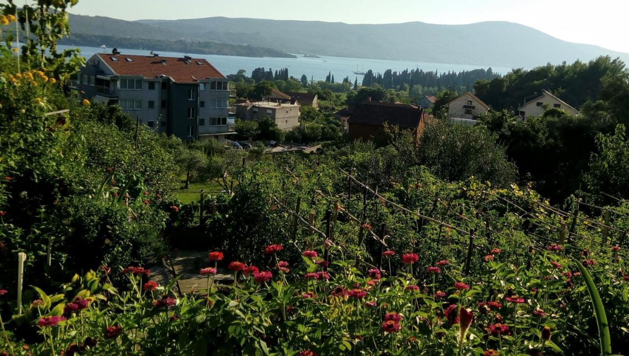 Apartmani Bosco Тиват Экстерьер фото
