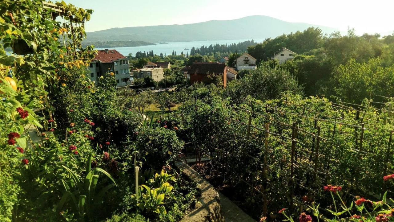 Apartmani Bosco Тиват Экстерьер фото