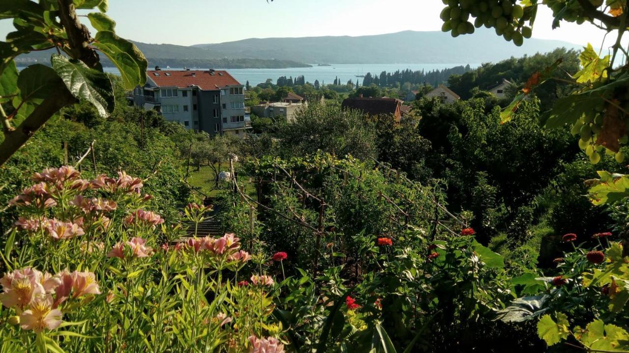 Apartmani Bosco Тиват Экстерьер фото