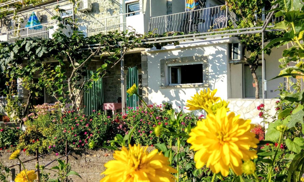 Apartmani Bosco Тиват Экстерьер фото